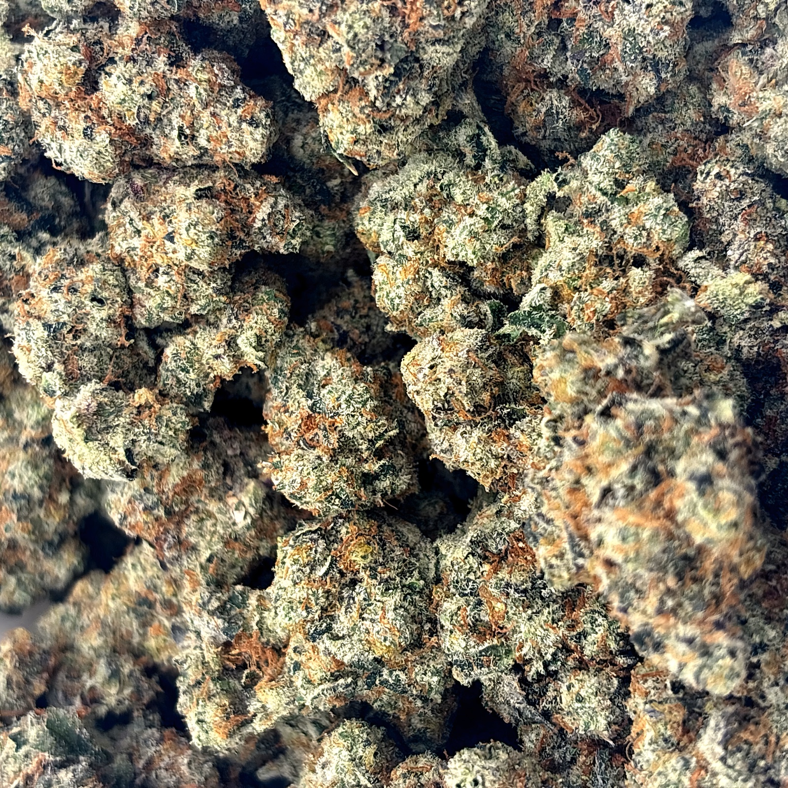 G45