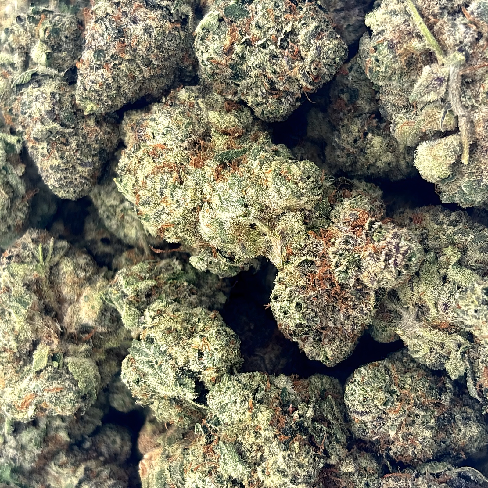 Tropical Punch