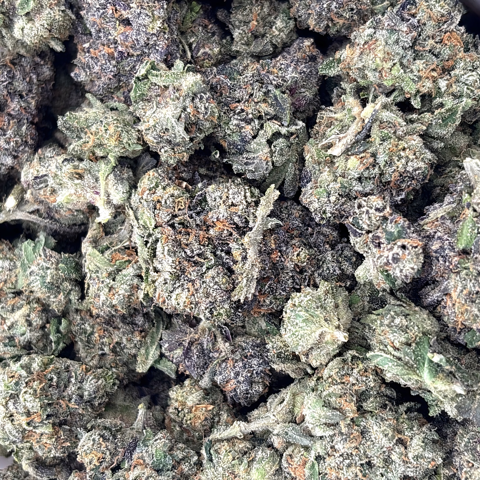 Animal Cookies