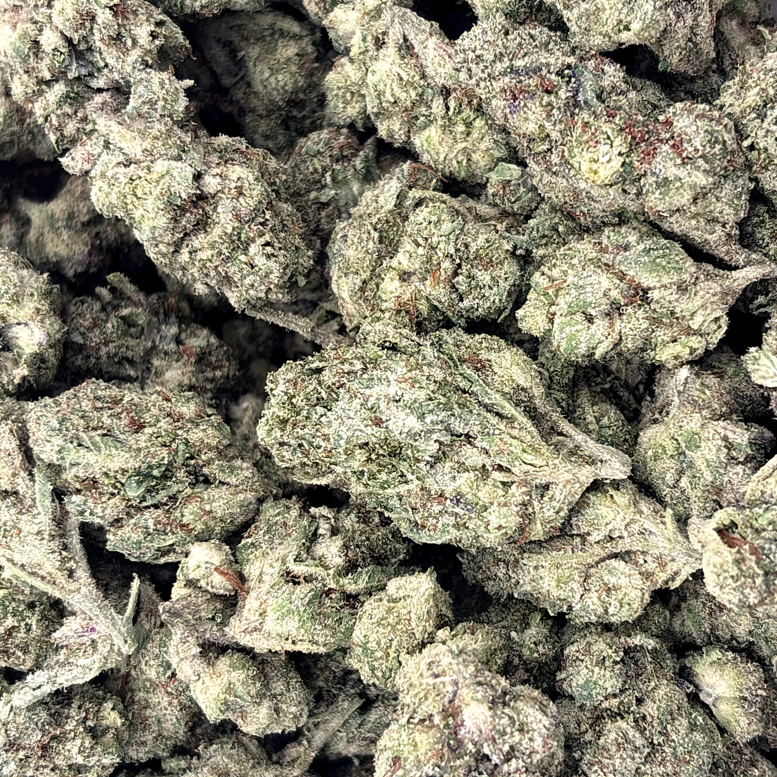 Super Silver Haze