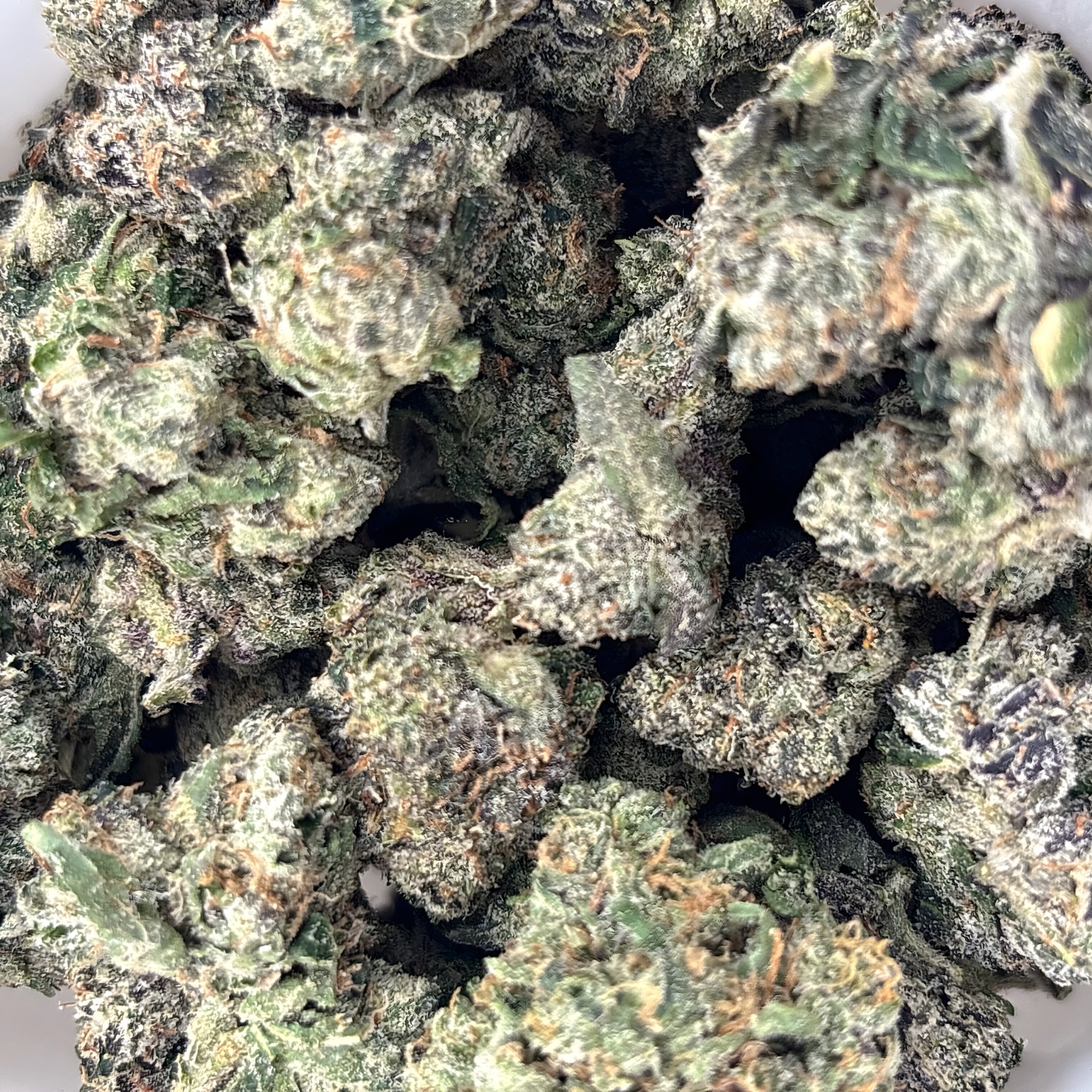 Sour Runtz