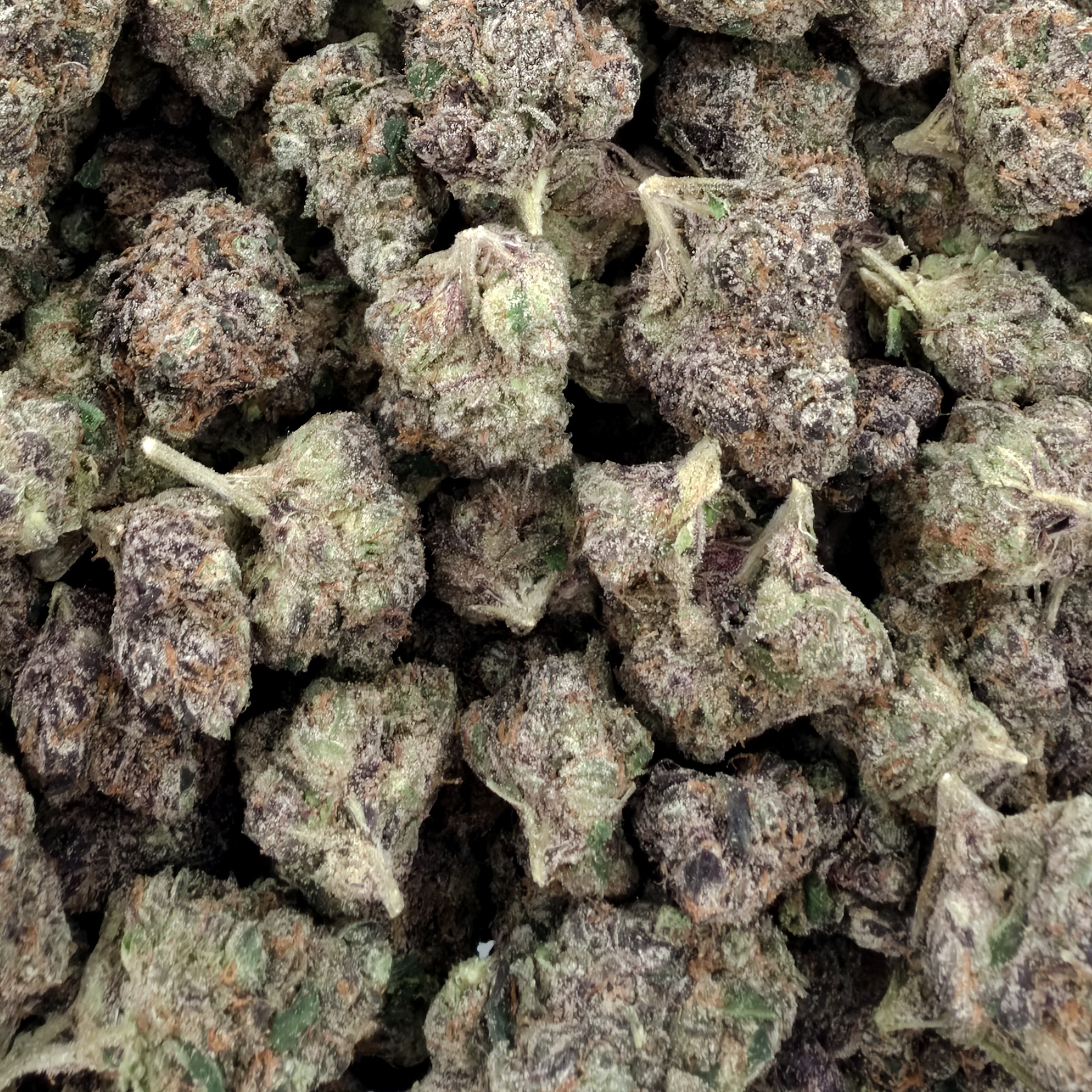 Blueberry Runtz