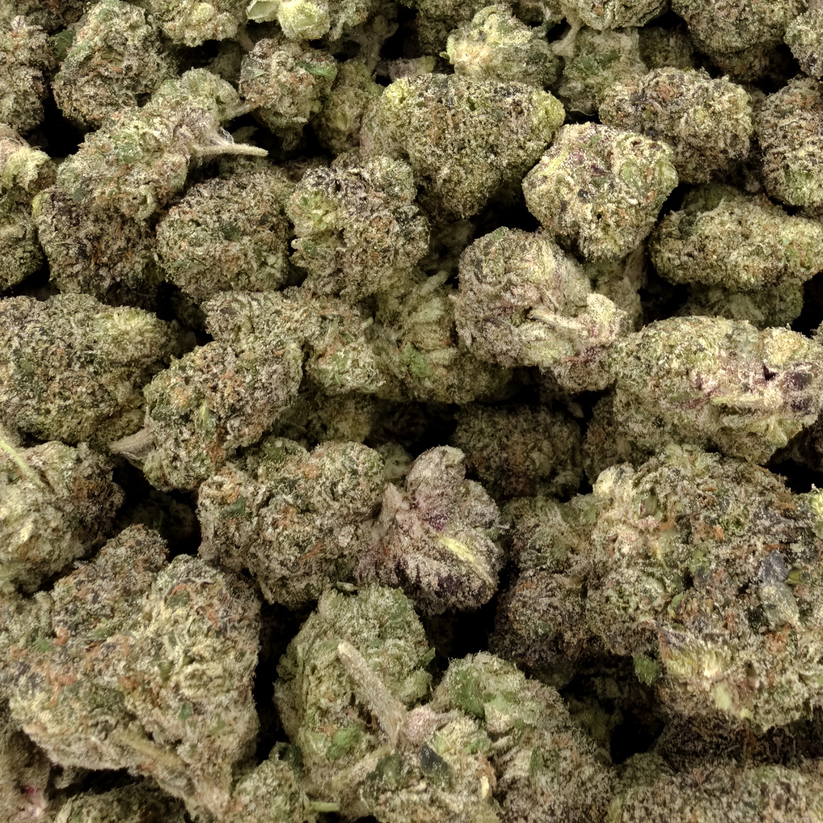 Cotton Candy