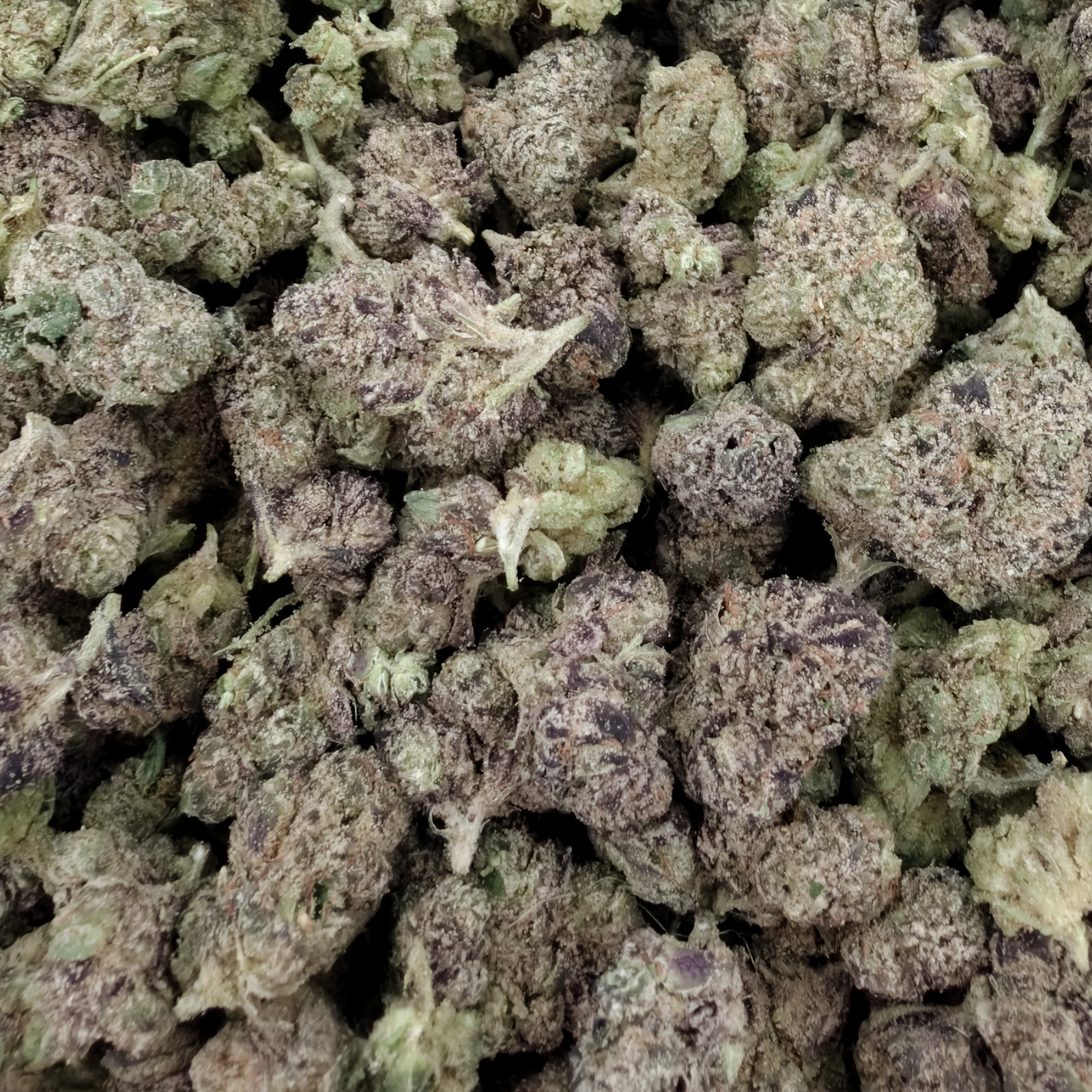 Fruity Pebbles