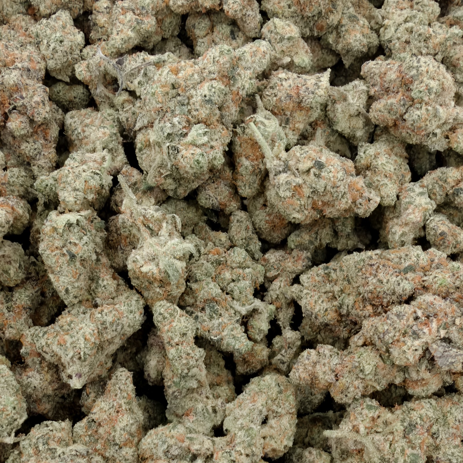 G45