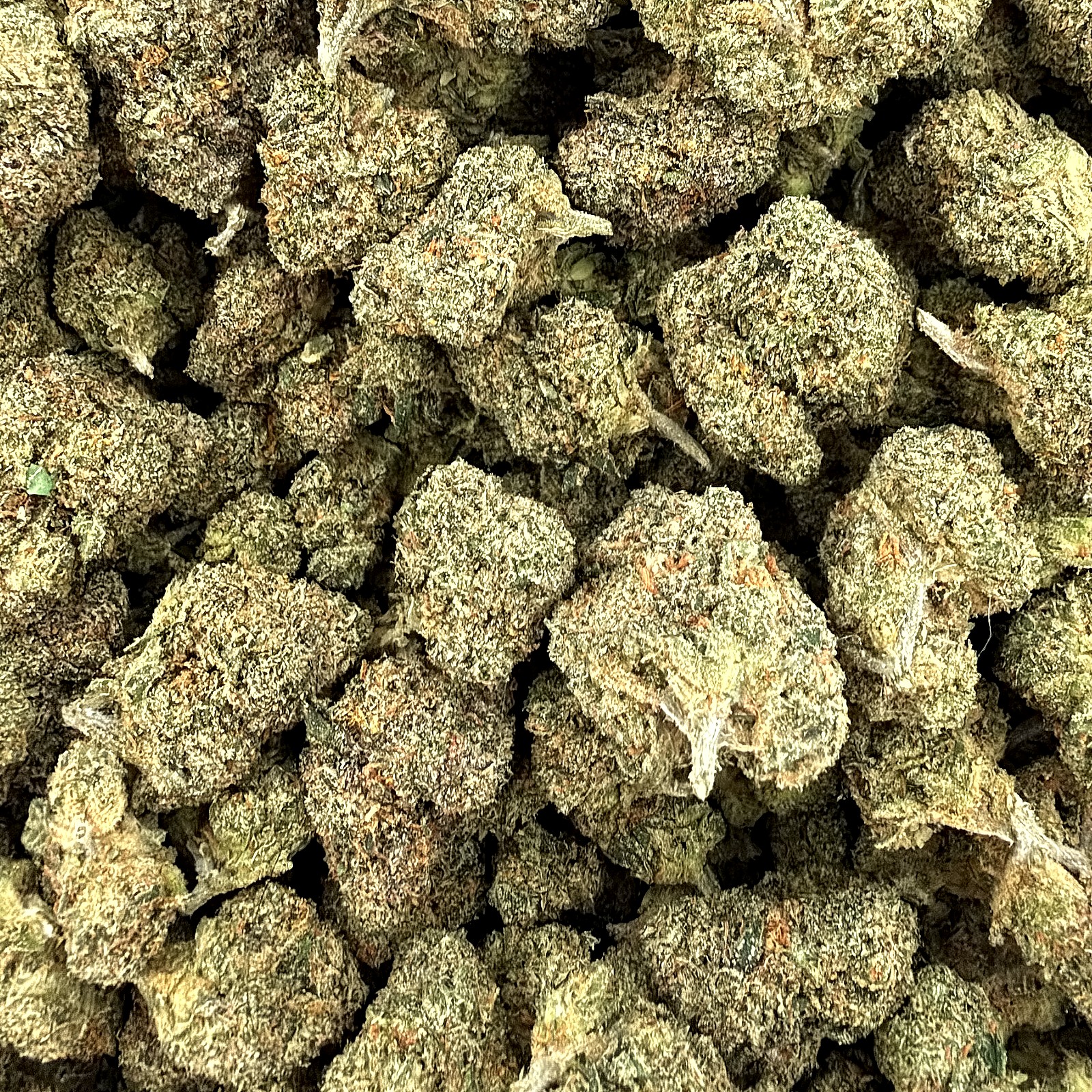 Green Crack