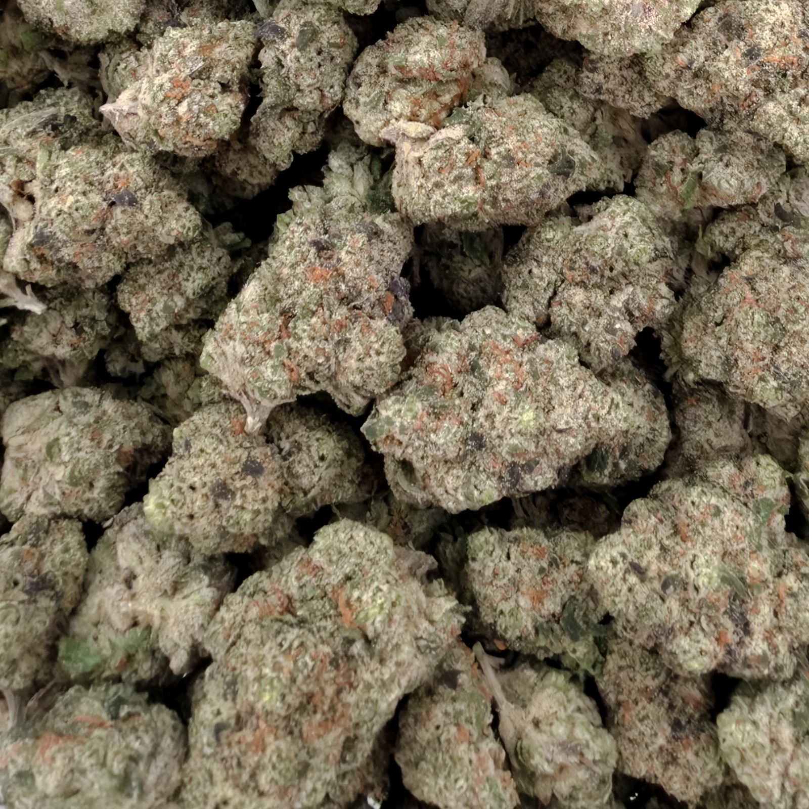 Miami Diesel