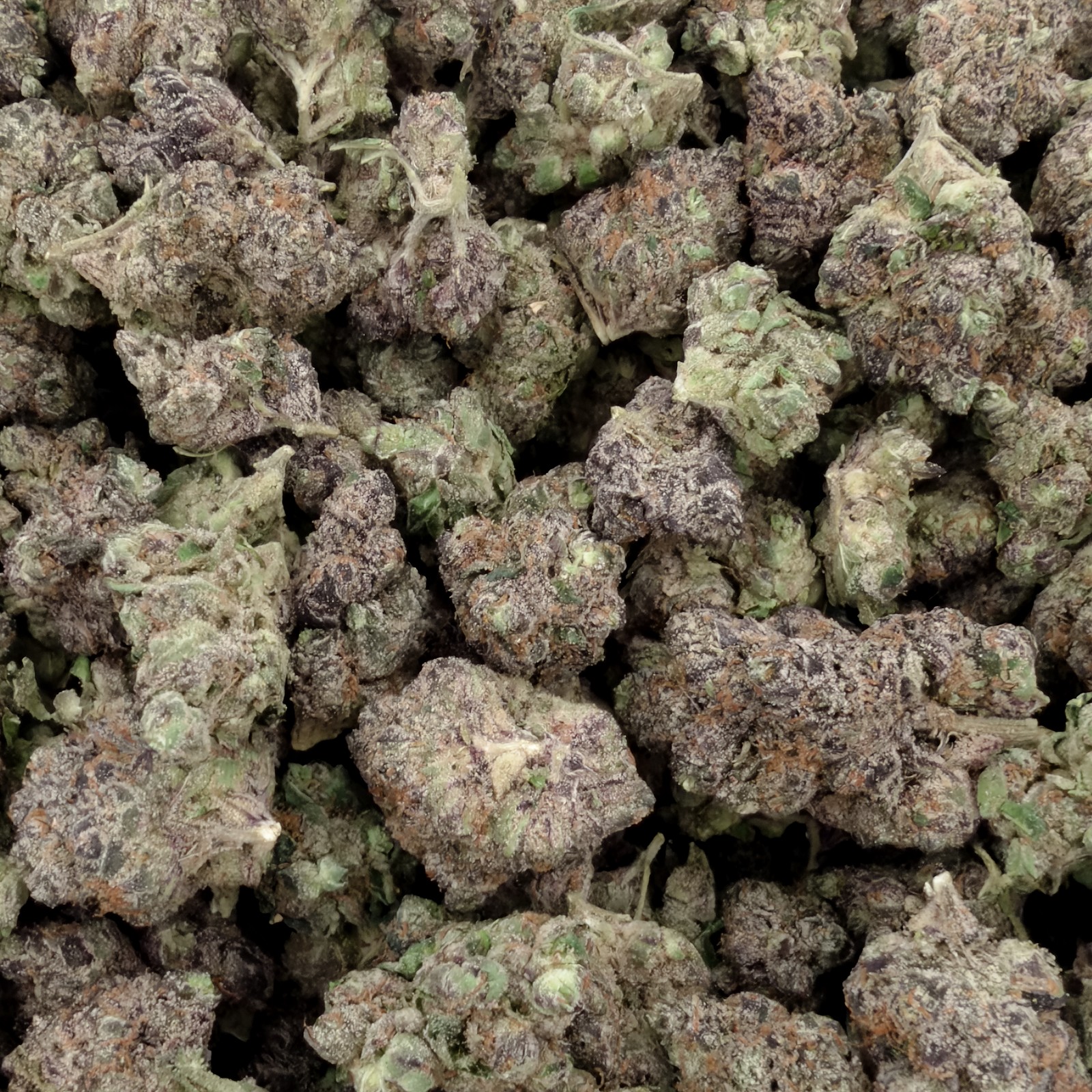 Pink Bubblegum