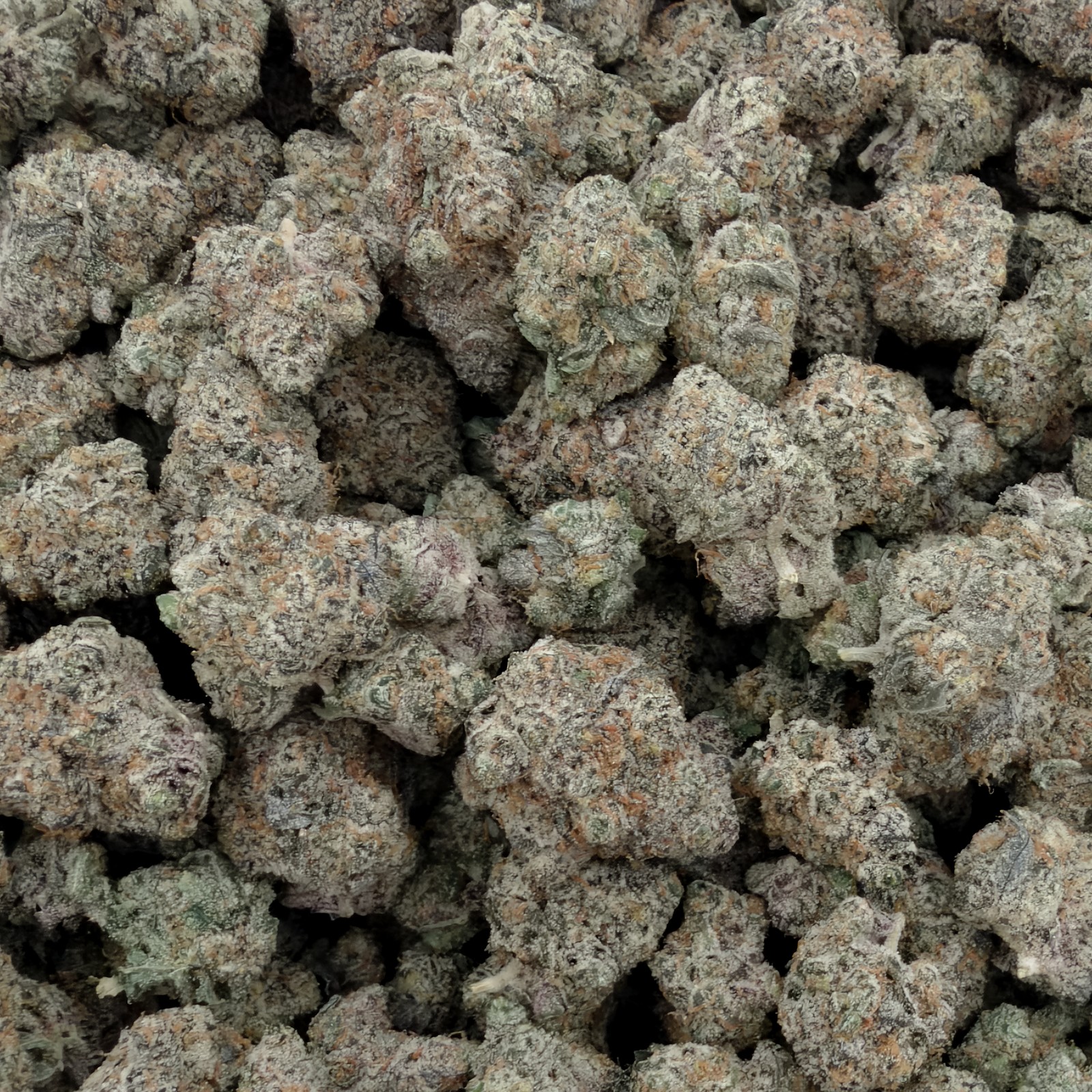 Pink Lemonade