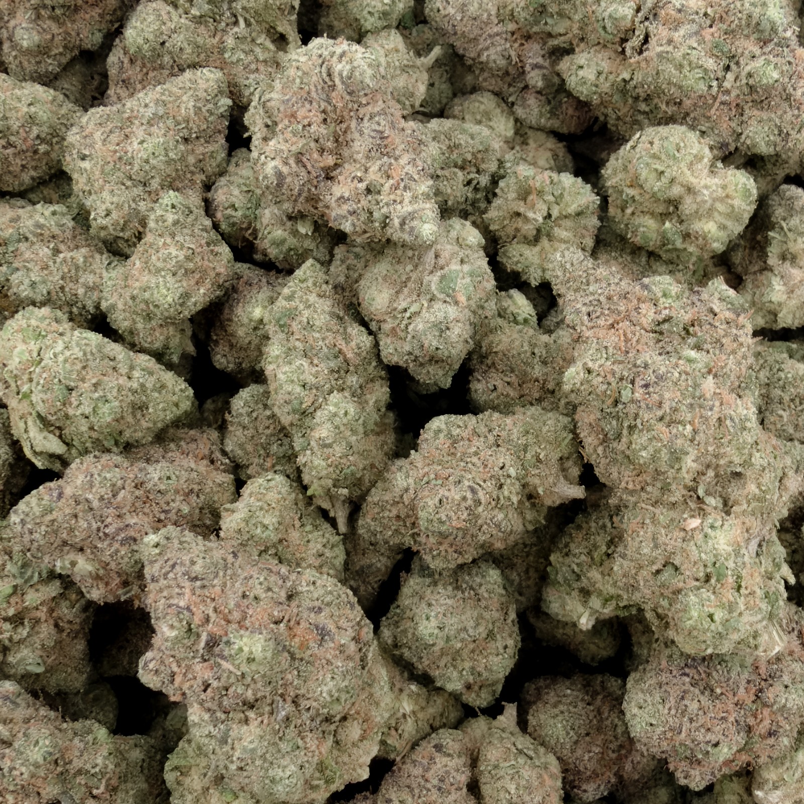 Platinum Haze