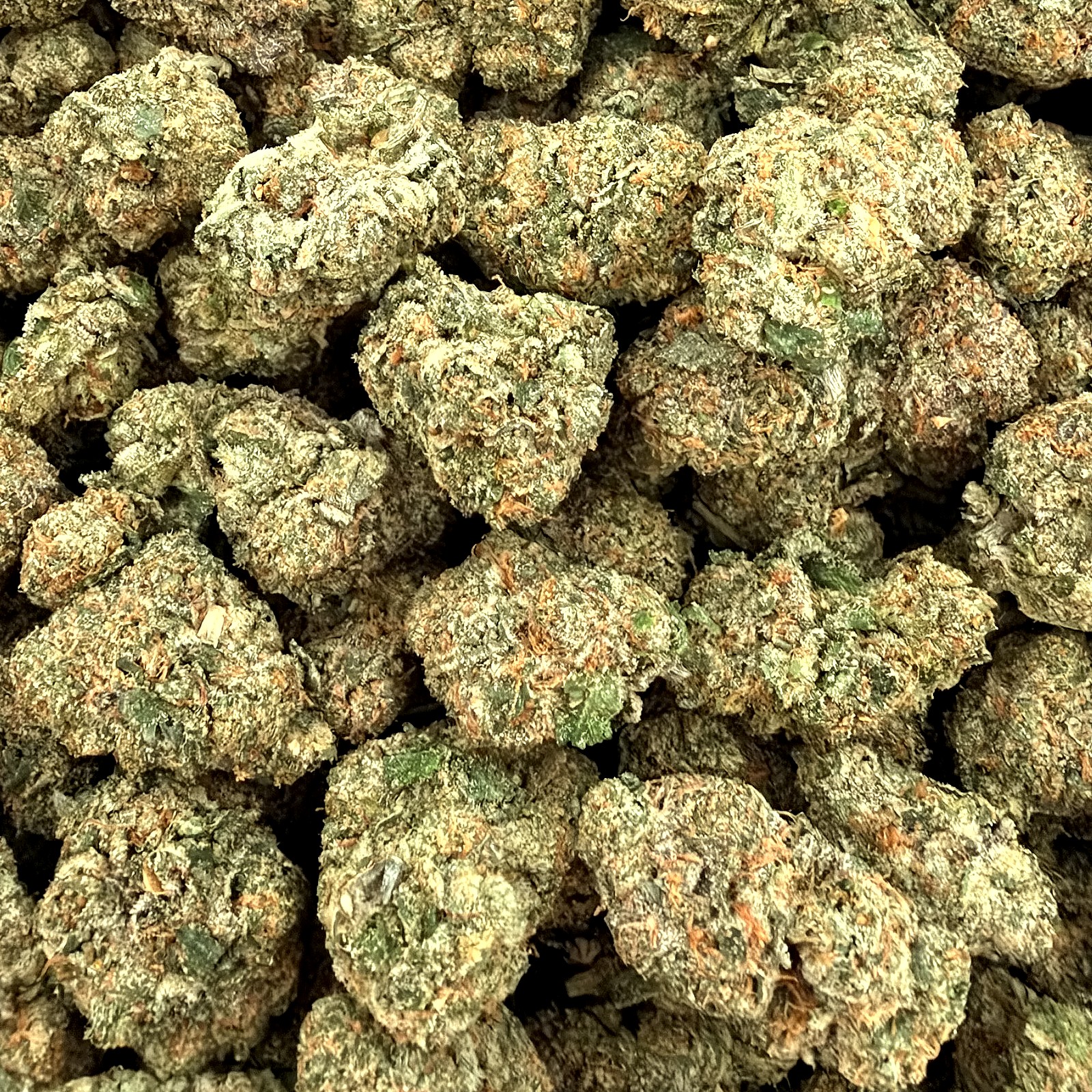 Raspberry Cough