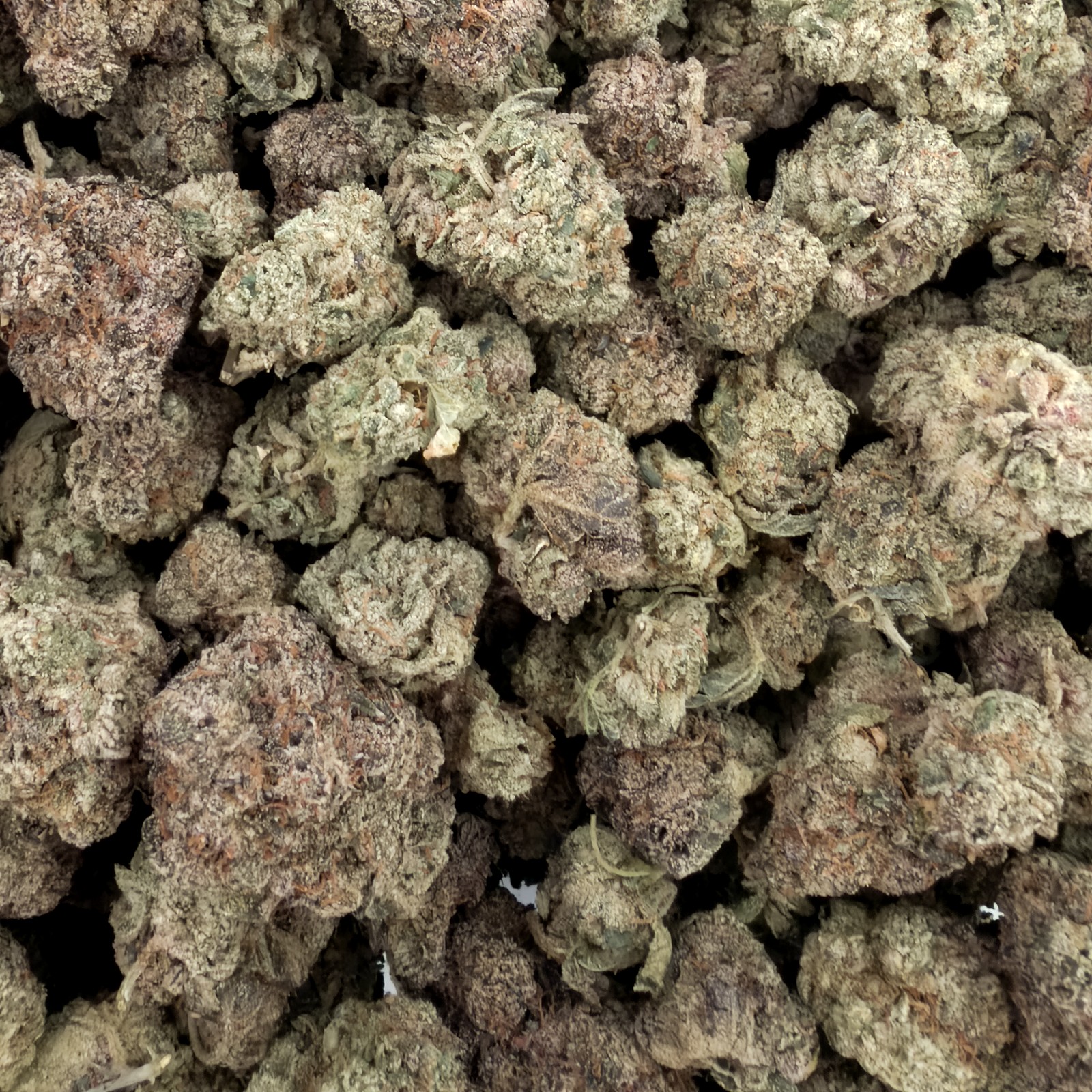 Slurricane
