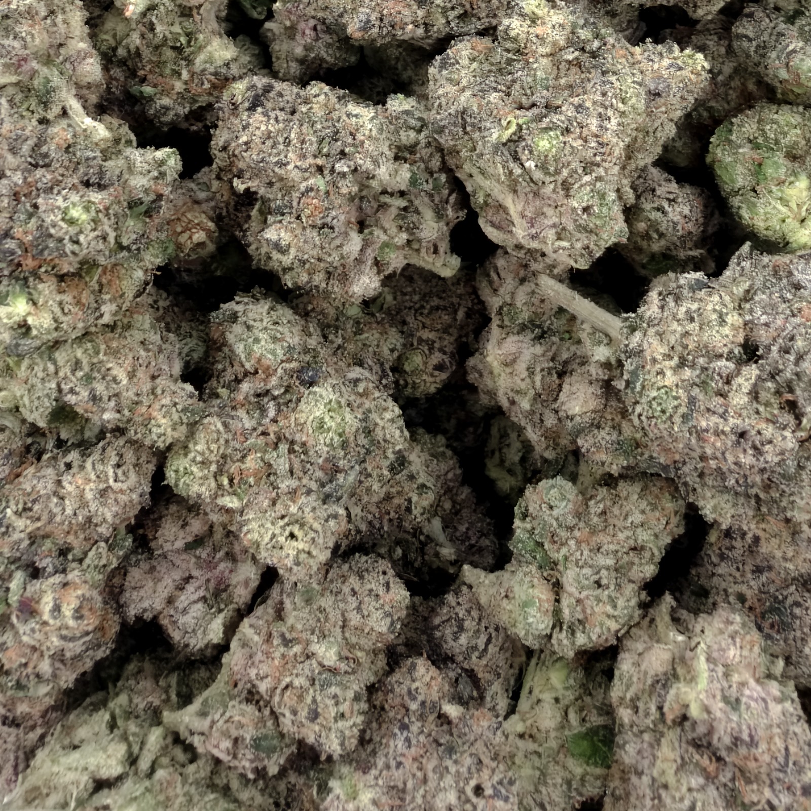 Tangie Mac