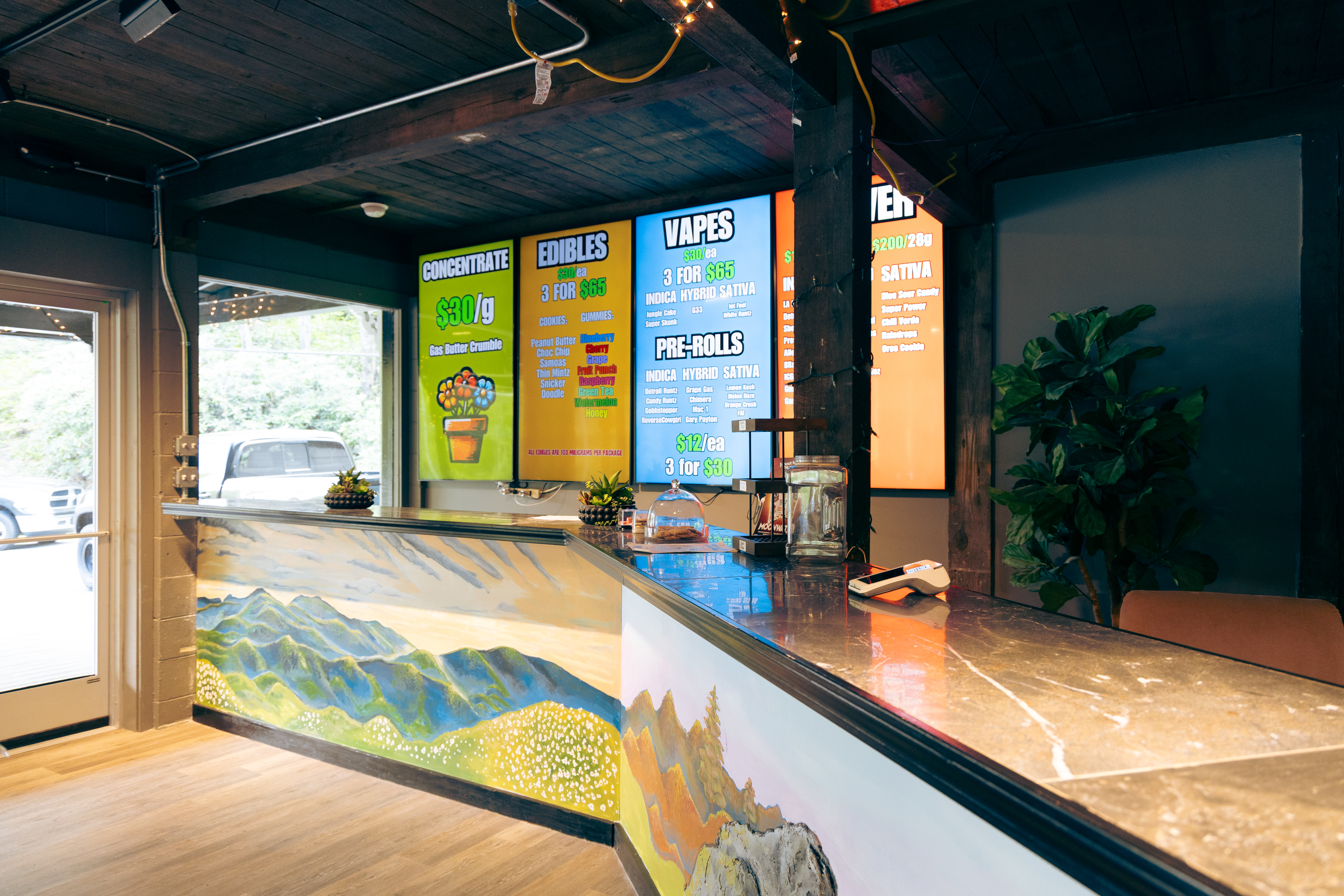 Behind the counter with mountain mural
