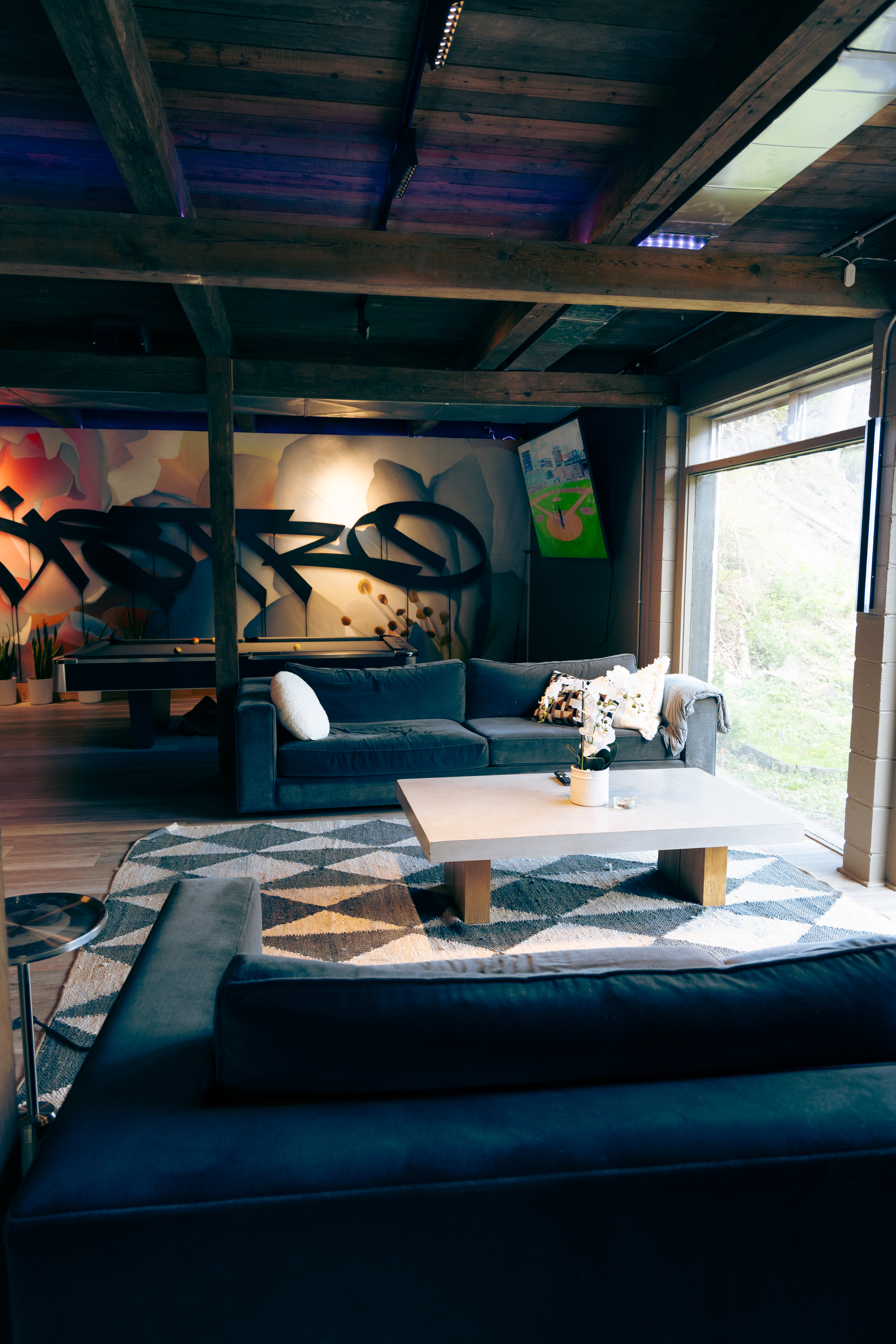 VIP sectional with natural light