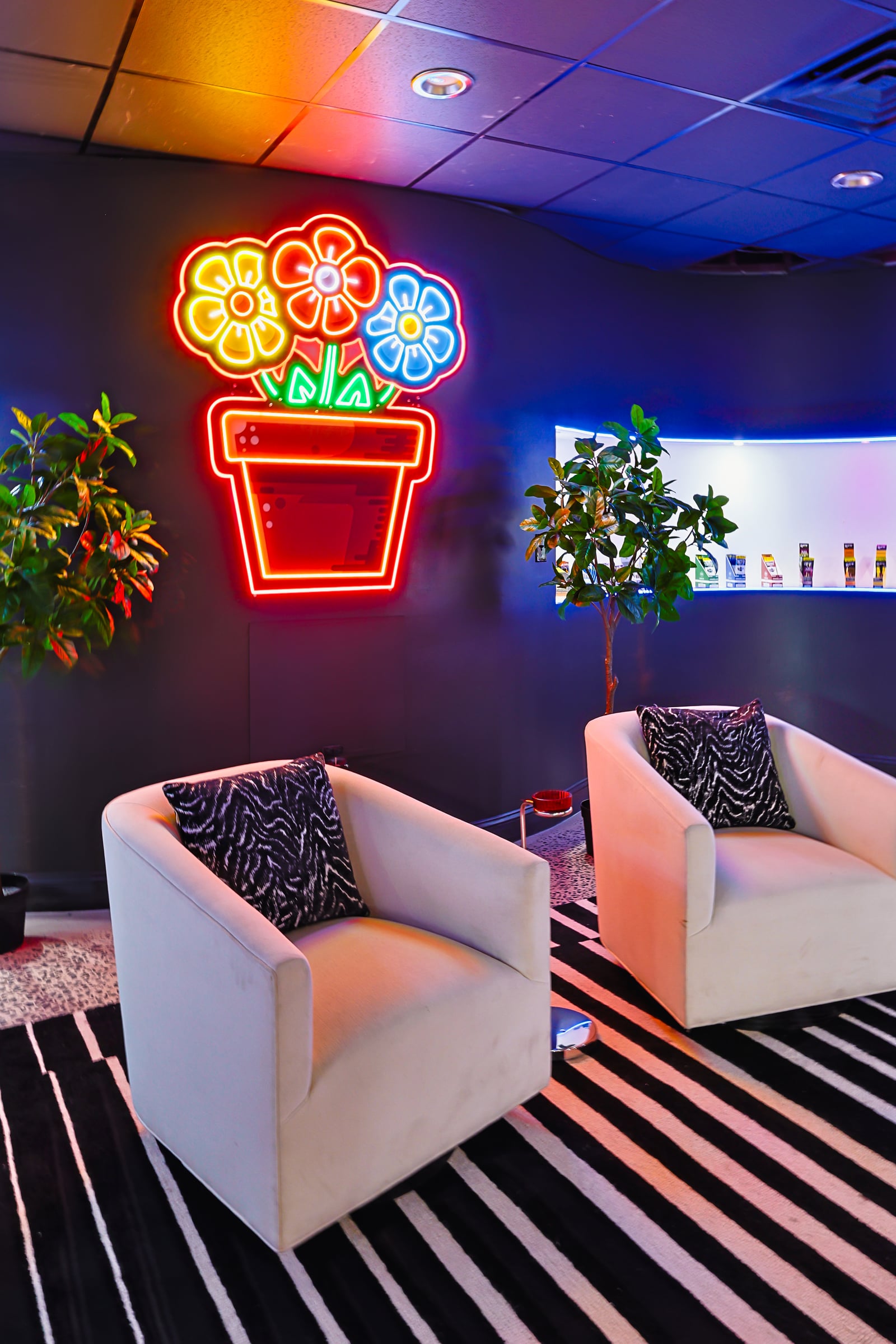 Vertical view of neon and shelf