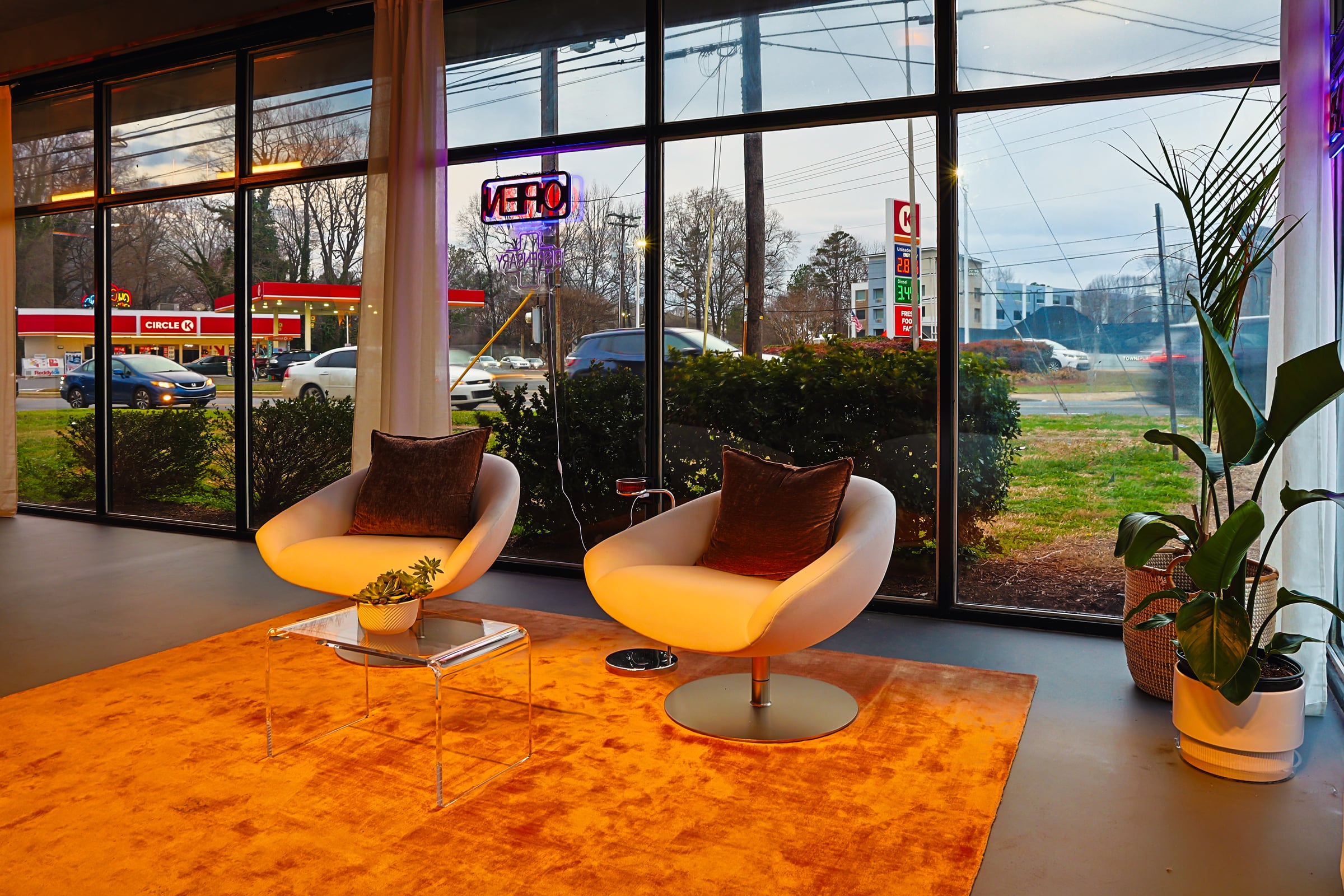 Side angle with neon and plants